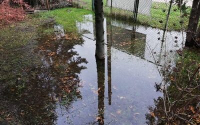 Zmiana stanu wody na gruncie ze szkodą dla sąsiednich nieruchomości